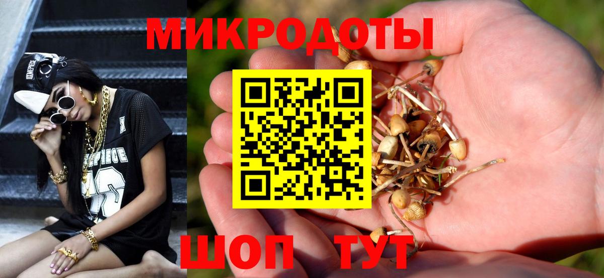 Галлюциногенные грибы Psilocybine cubensis  Вход с VPN  Свободный 
